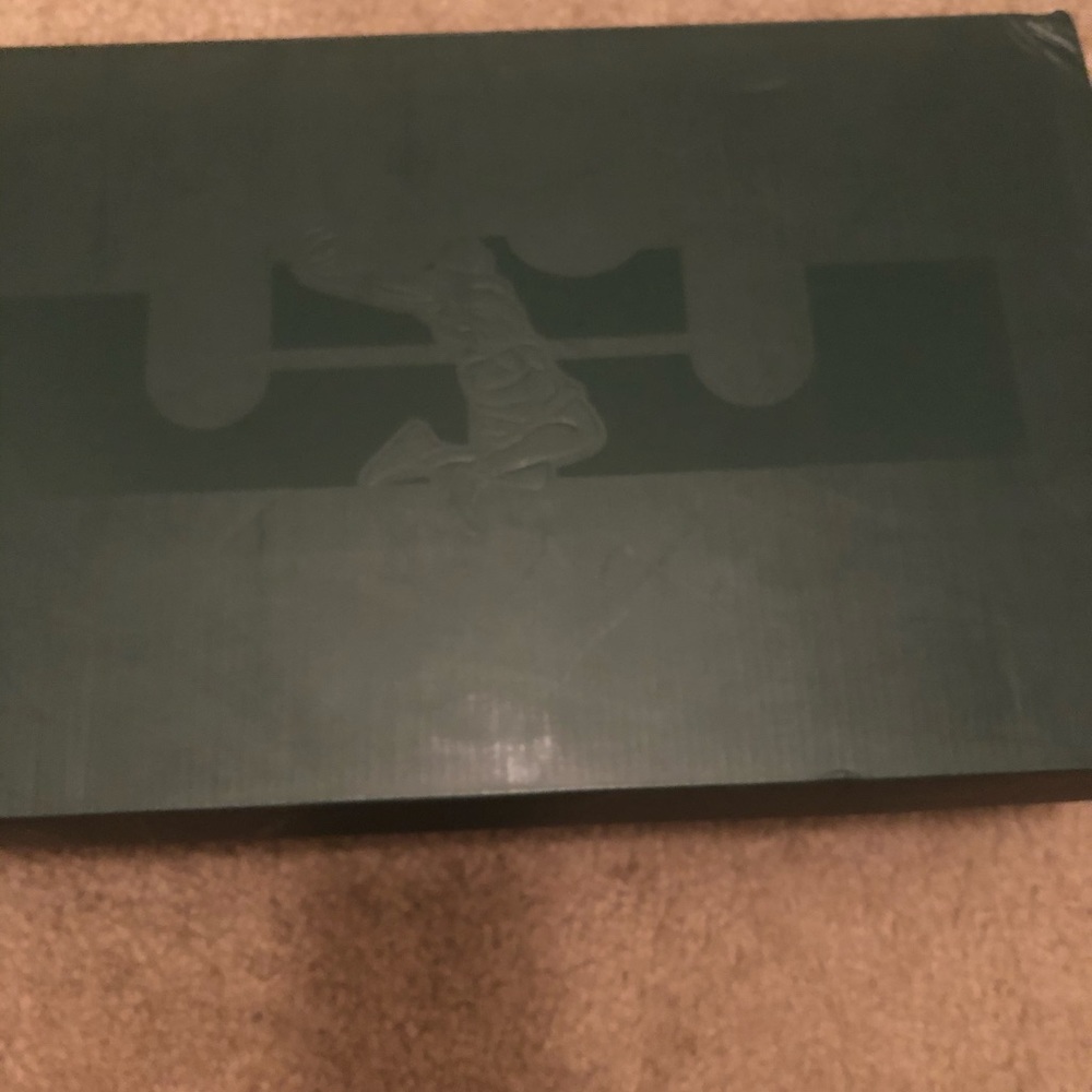 LeBron 16 Low Python Glow (Deadstock pair)